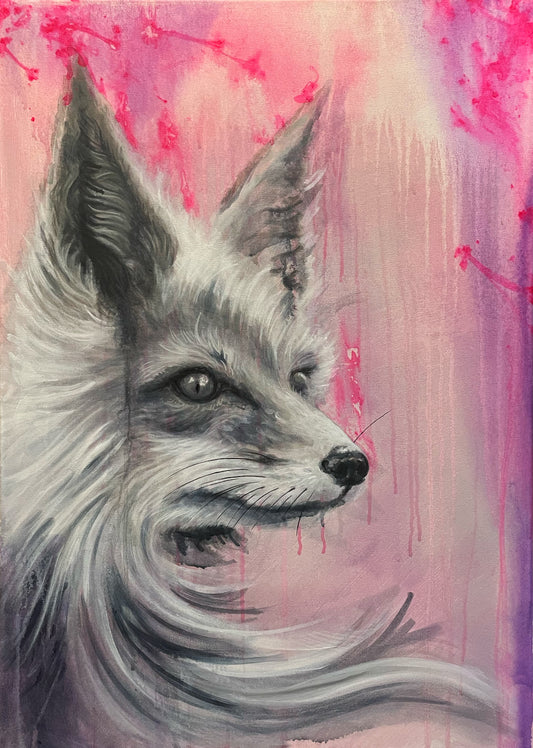 Fox on Pink